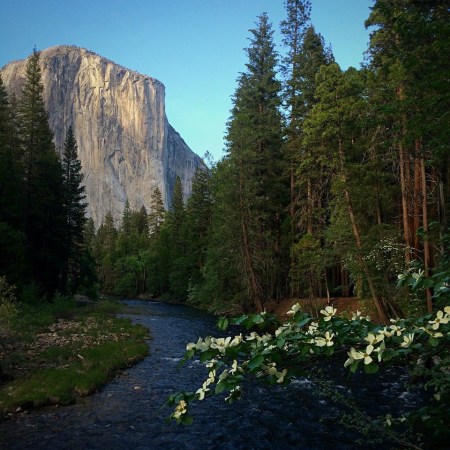 yosemite